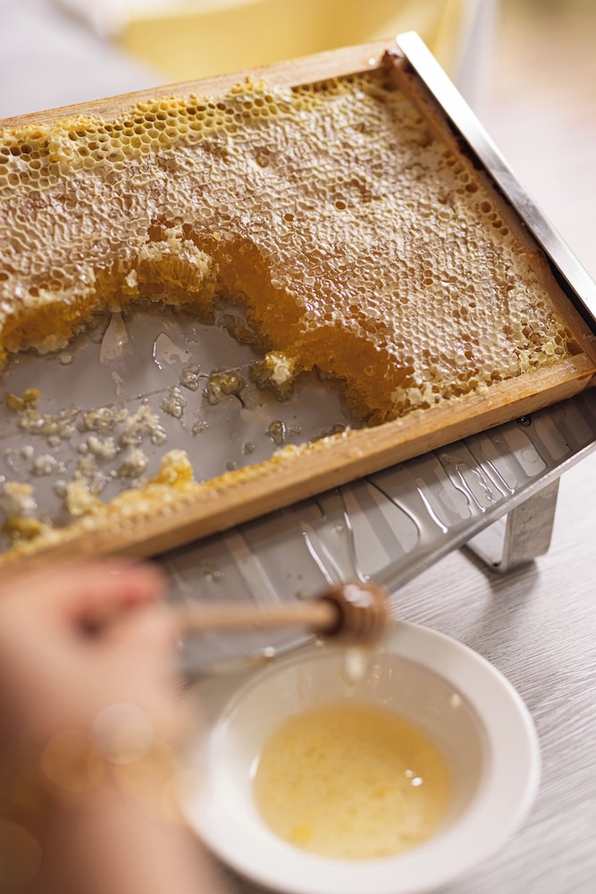 Hôtel Cézanne by null