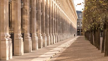 A long, straight pathway flanked by tall, evenly spaced columns leading to a building with classical architecture.