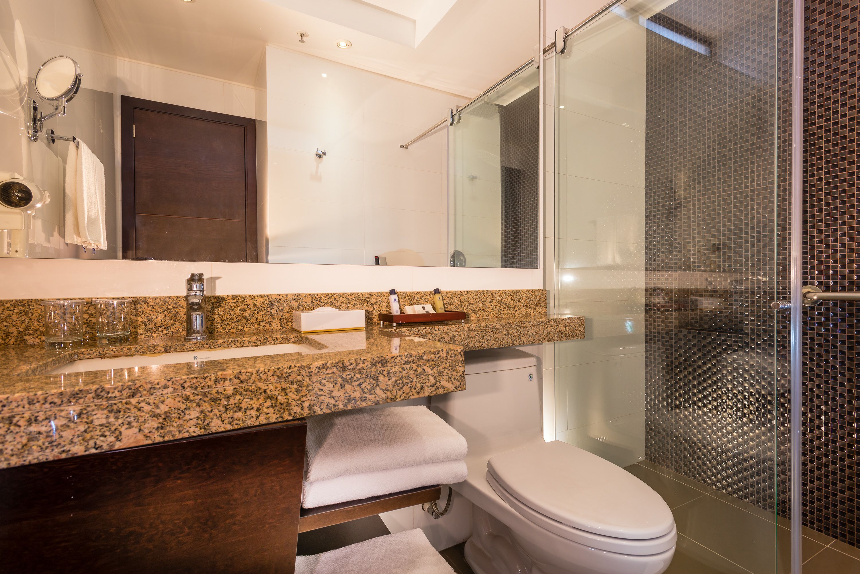 A modern bathroom with a granite countertop, a glass shower enclosure, and a white toilet.