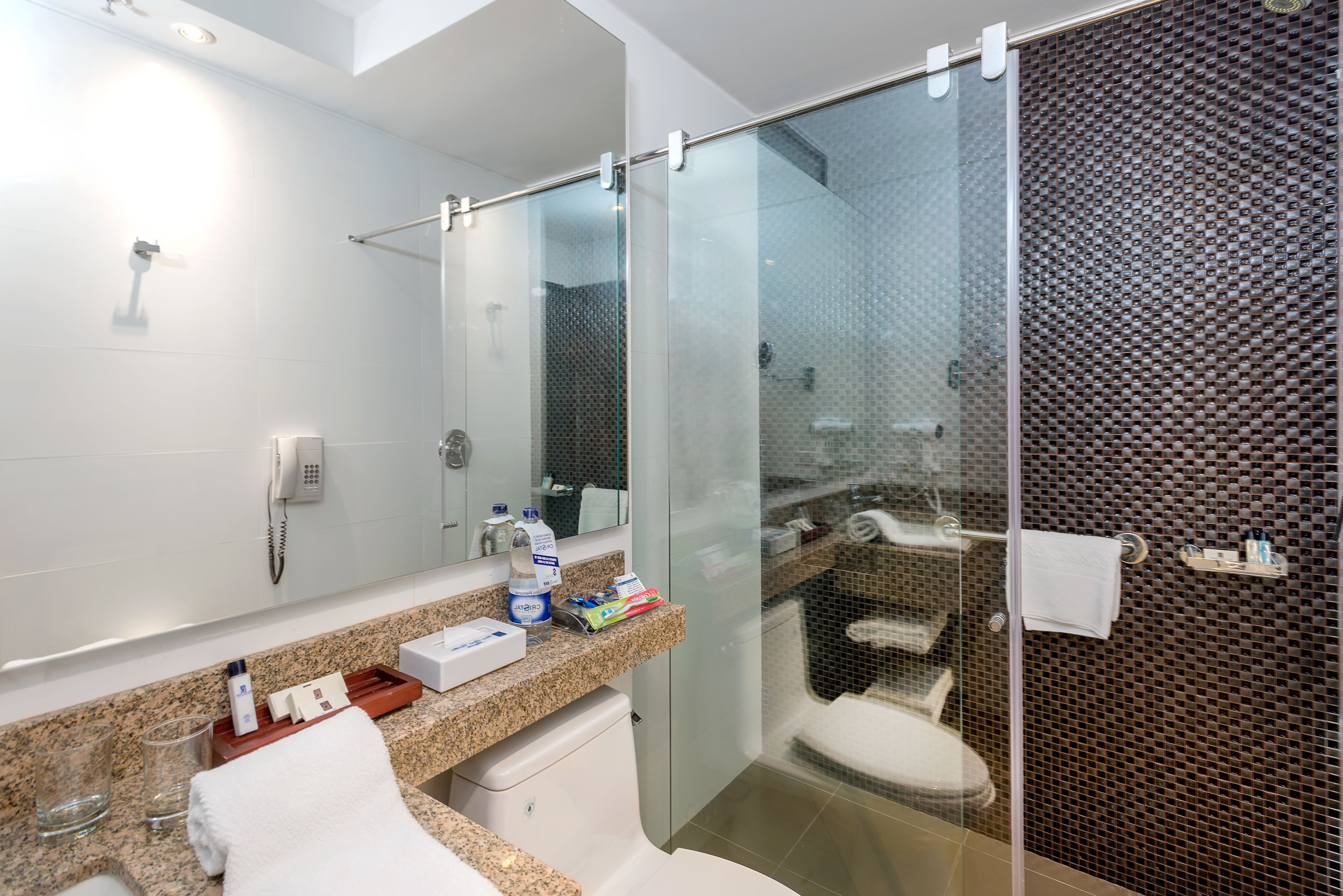 A modern bathroom with a glass-enclosed shower, a white toilet, a granite countertop, and a mirror.