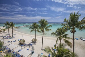 Buceo, snorkel, windsurf y vóleibol de playa 