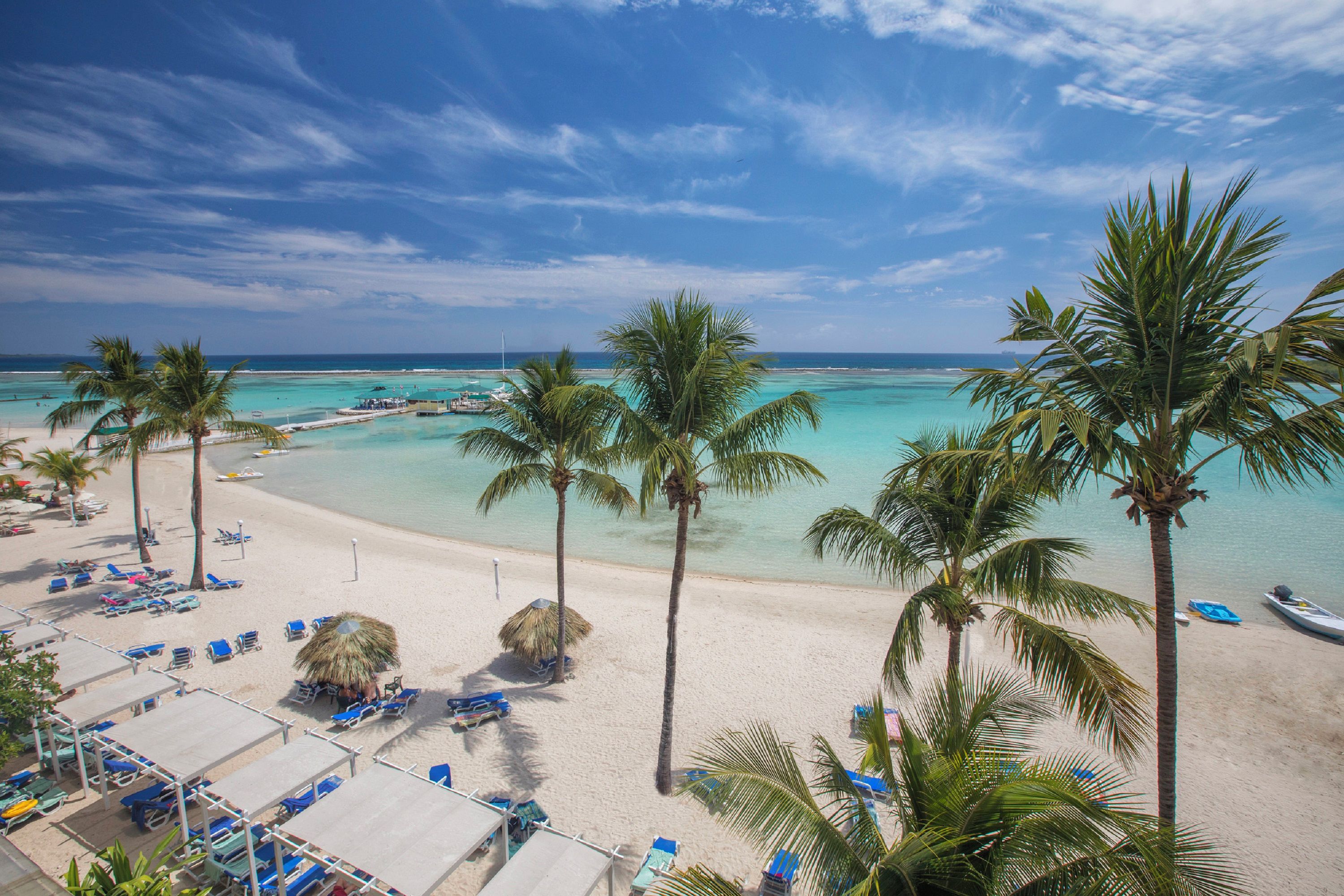 A beach with palm trees, lounge chairs, and a clear view of the ocean.