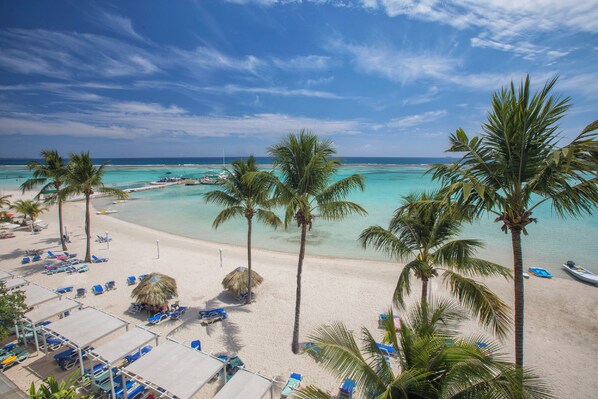A beach with palm trees, lounge chairs, and a clear view of the ocean.