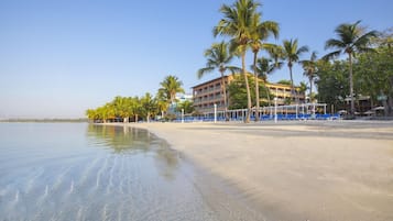 Un hotel sulla spiaggia con area piscina, palme e vista libera sull'oceano.