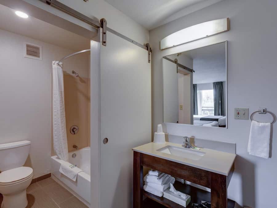 Combined shower/bathtub, hair dryer, towels