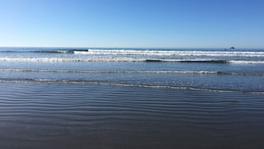Uma praia com ondas e céu claro.