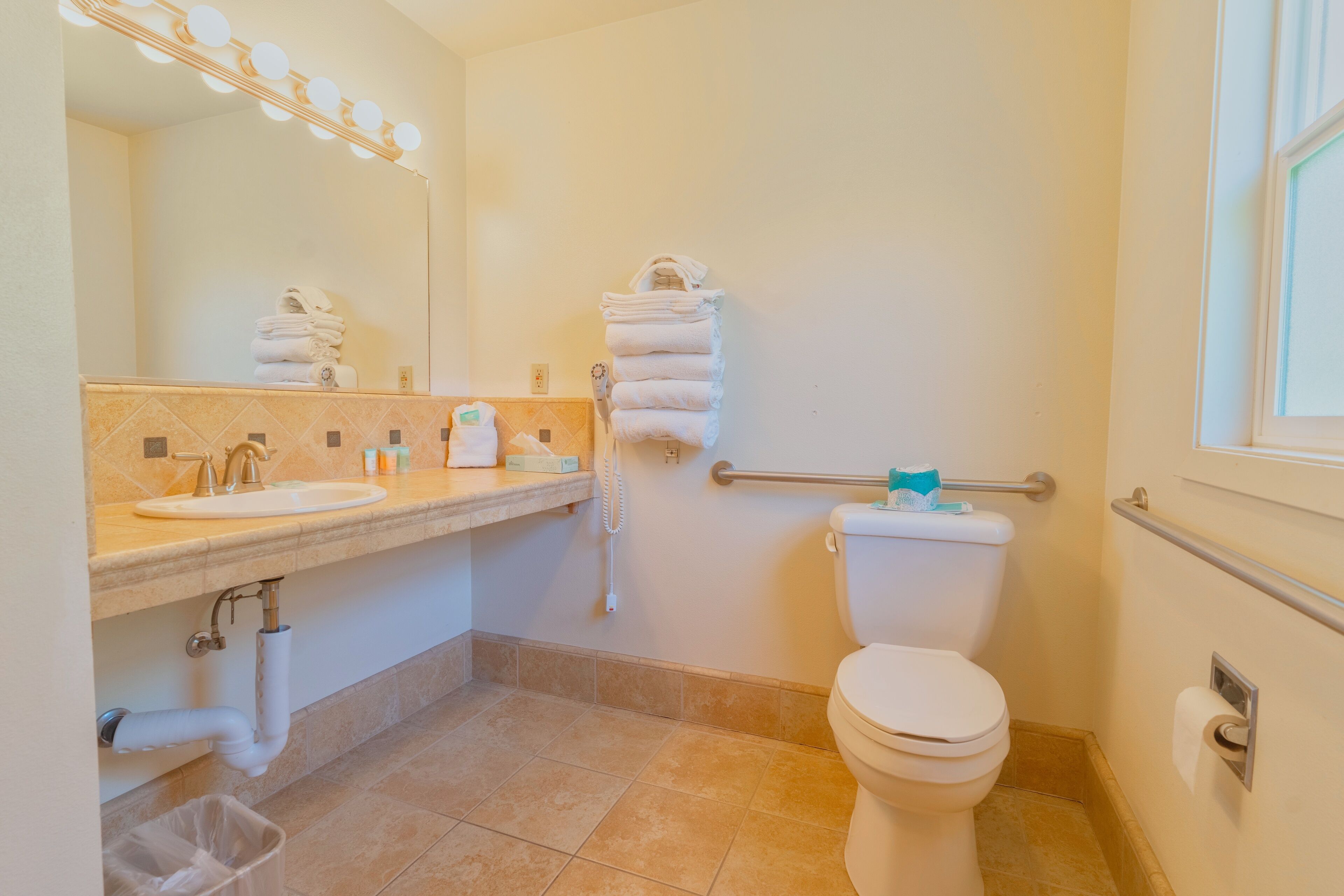 Ein Badezimmer mit Waschbecken, Spiegel, Handtuchhalter, Toilette und Handläufen.