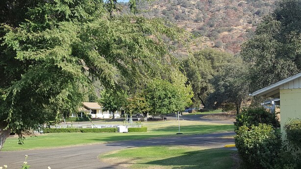A residential area with a grassy field, a paved road, and a building with a white exterior. - Lazy J Ranch Motel (Three Rivers)