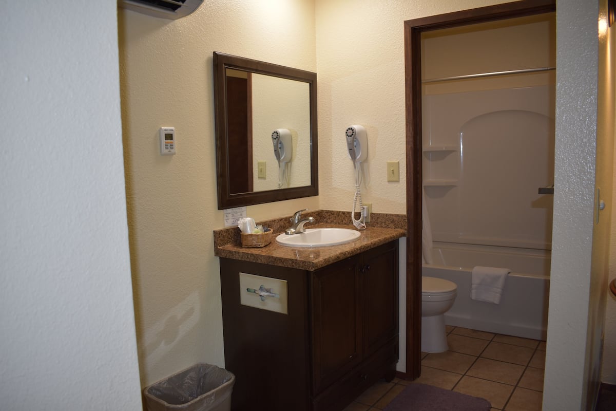 standard double room | bathroom | combined shower/bathtub, free toiletries, hair dryer, towels
