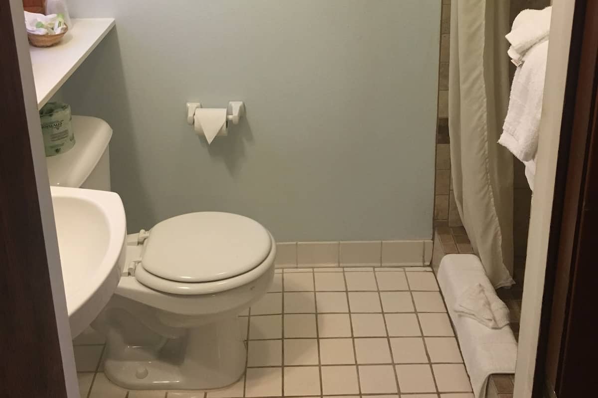 Iron/ironing board, rollaway beds, free WiFi, alarm clocks