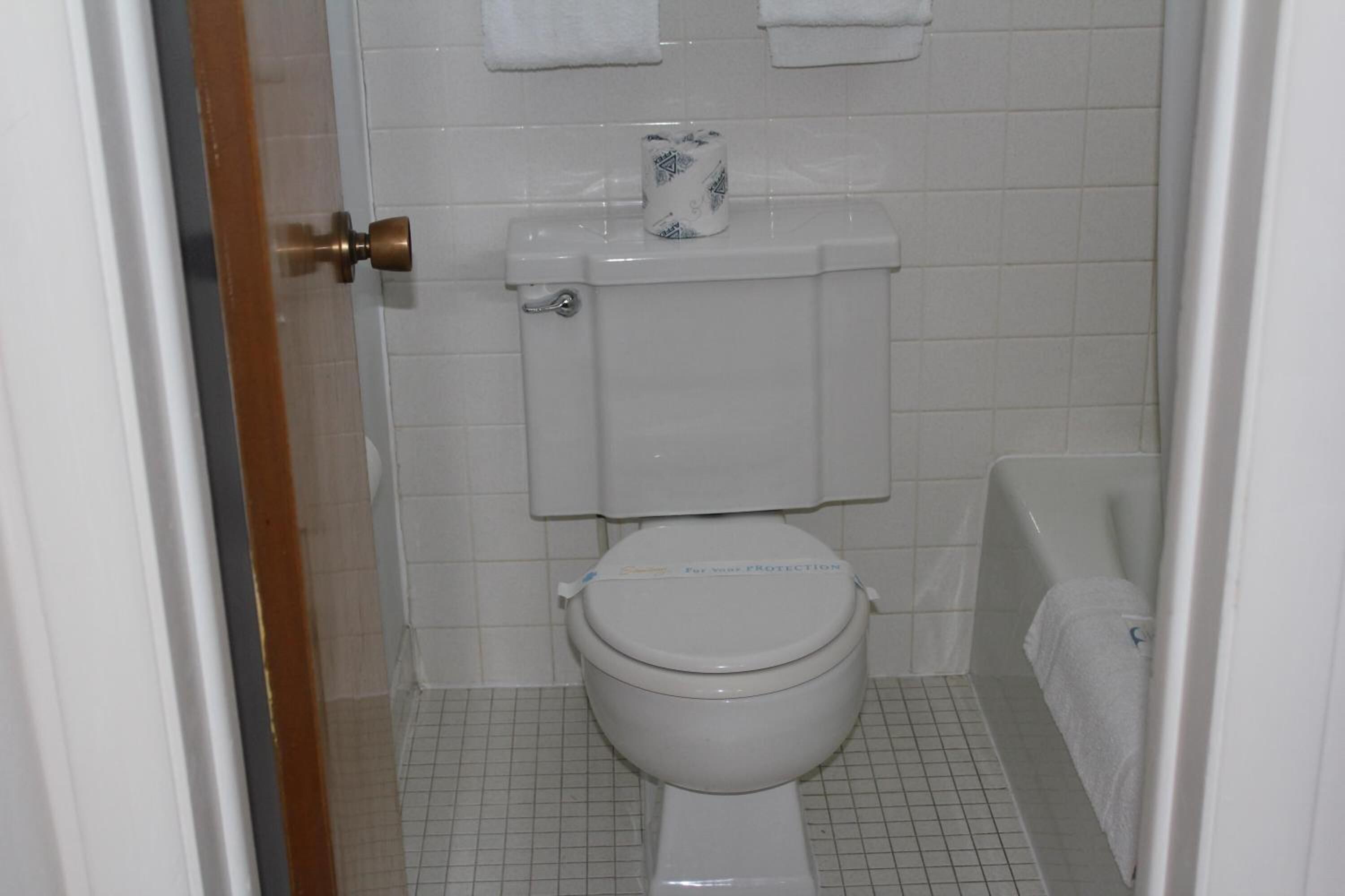A bathroom with a toilet, a bathtub, and a toilet paper roll on the tank.