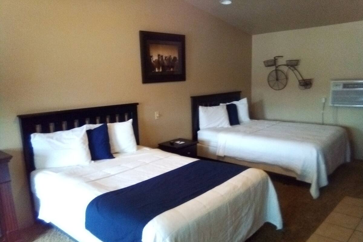 A hotel room with two beds, a nightstand, a wall-mounted bicycle decoration, and a framed picture above the beds.
