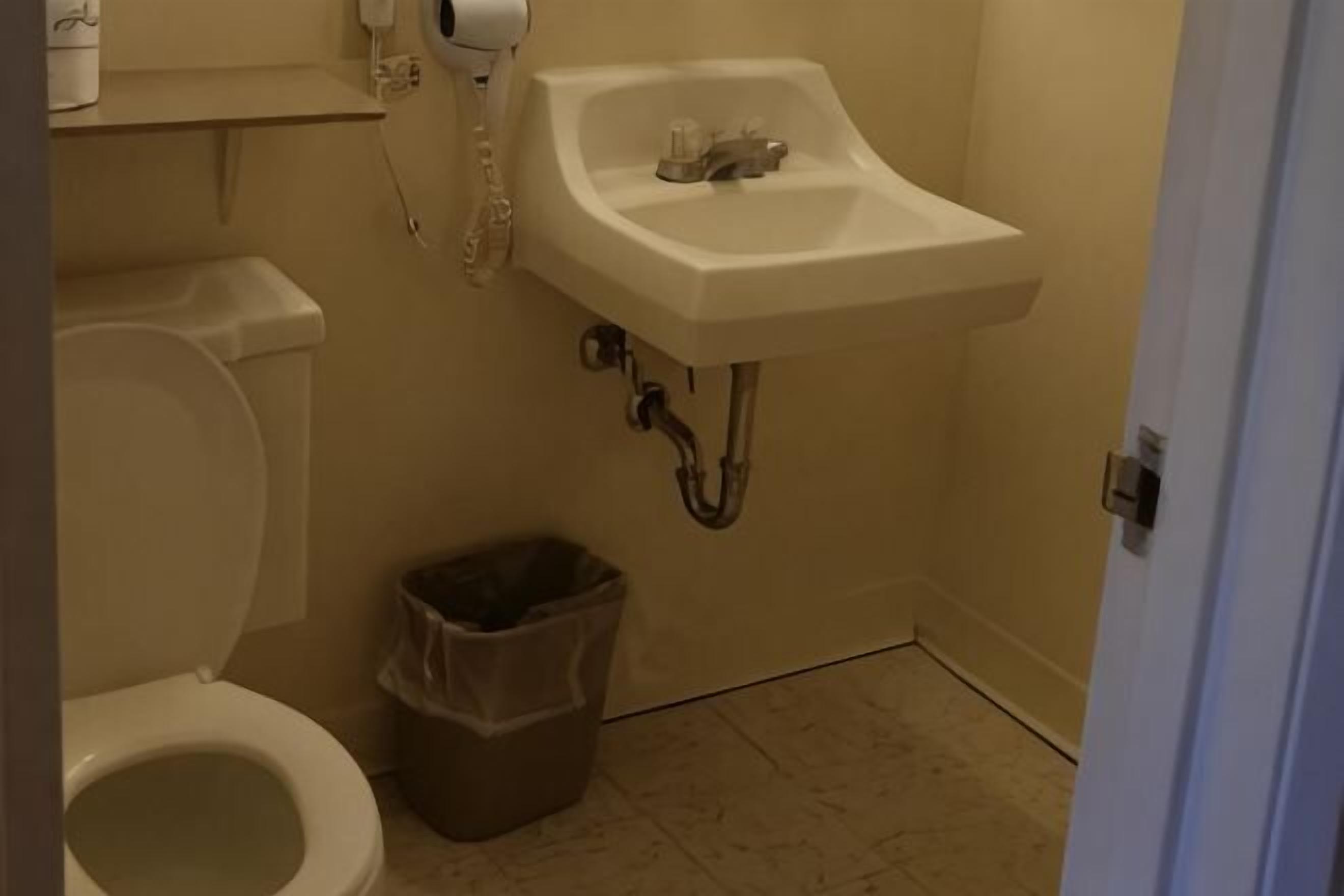 Suihkun ja ammeen yhdistelmä, ilmaiset hygieniatuotteet, hiustenkuivaaja