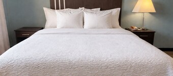 Village Inn & Suites 