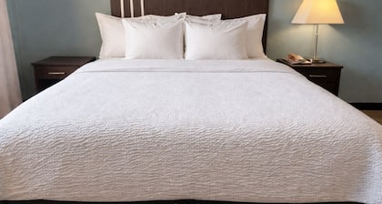 Village Inn & Suites