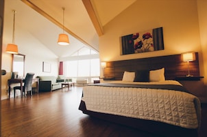 Desk, blackout drapes, iron/ironing board, free WiFi