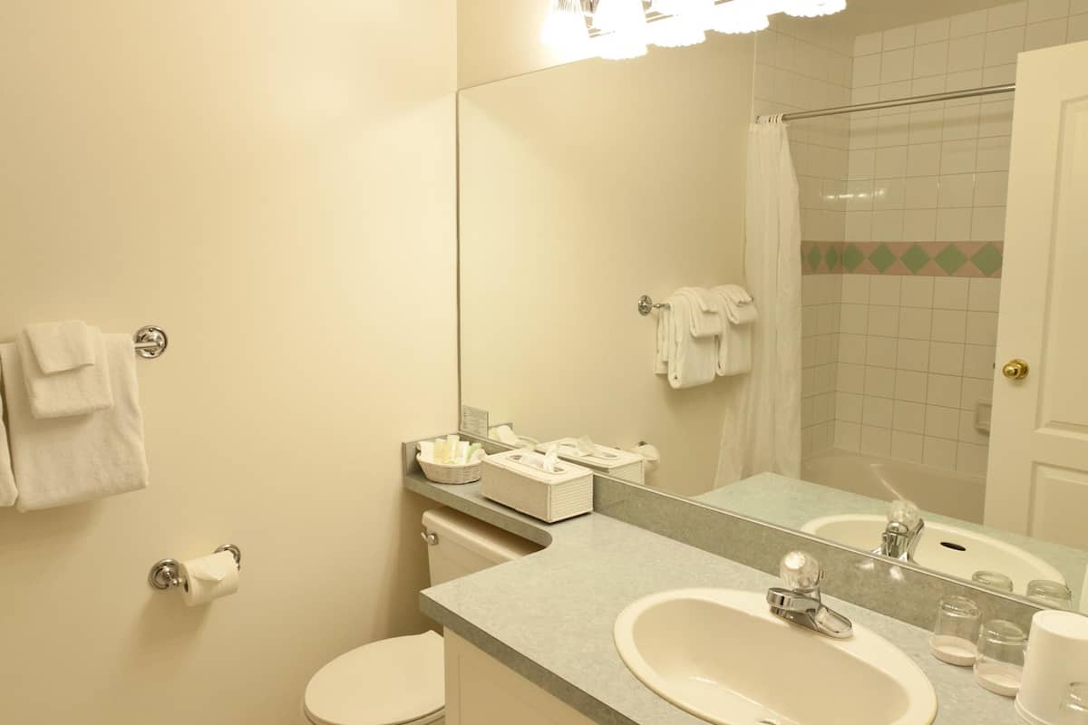 shower, designer toiletries, hair dryer, bathrobes