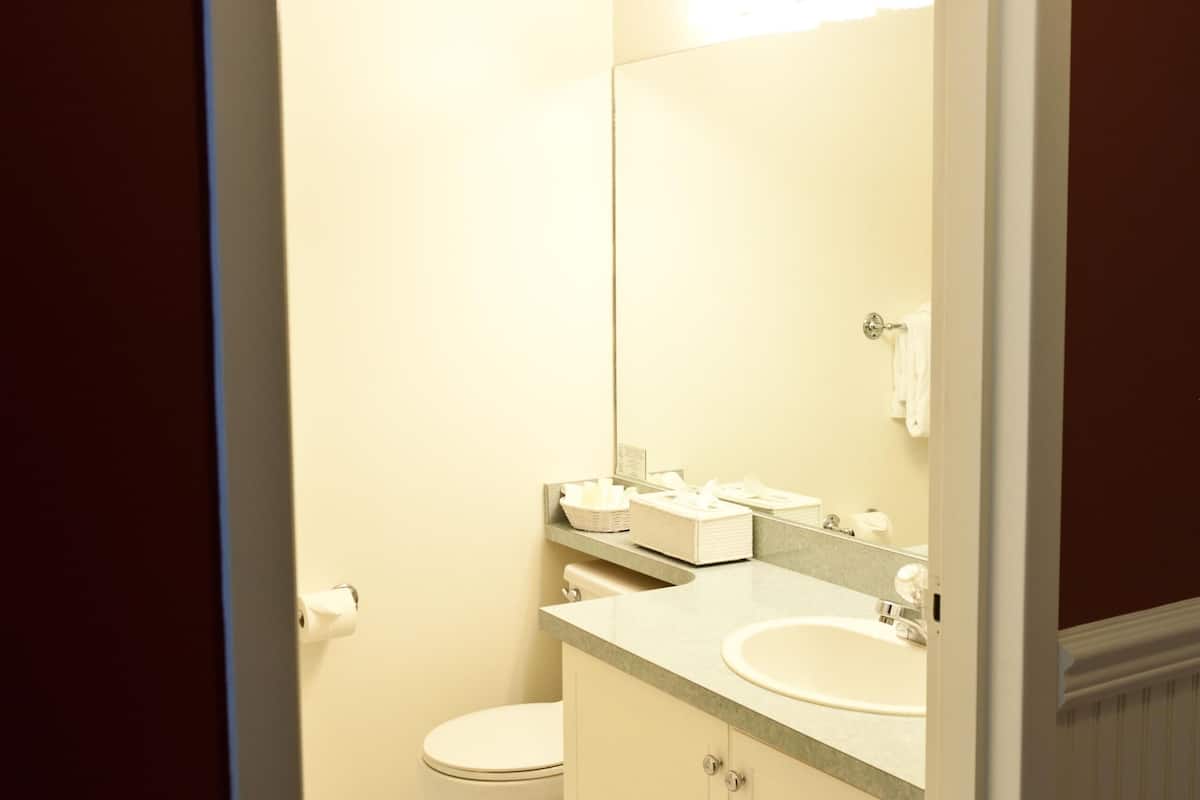 shower, designer toiletries, hair dryer, bathrobes