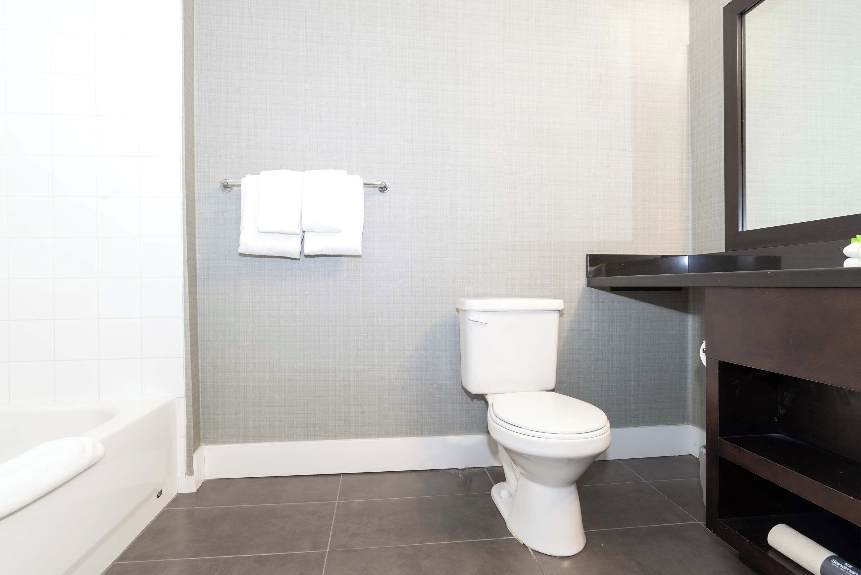 accessible room, 1 queen bed | bathroom | combined shower/bathtub, eco-friendly toiletries, hair dryer, towels