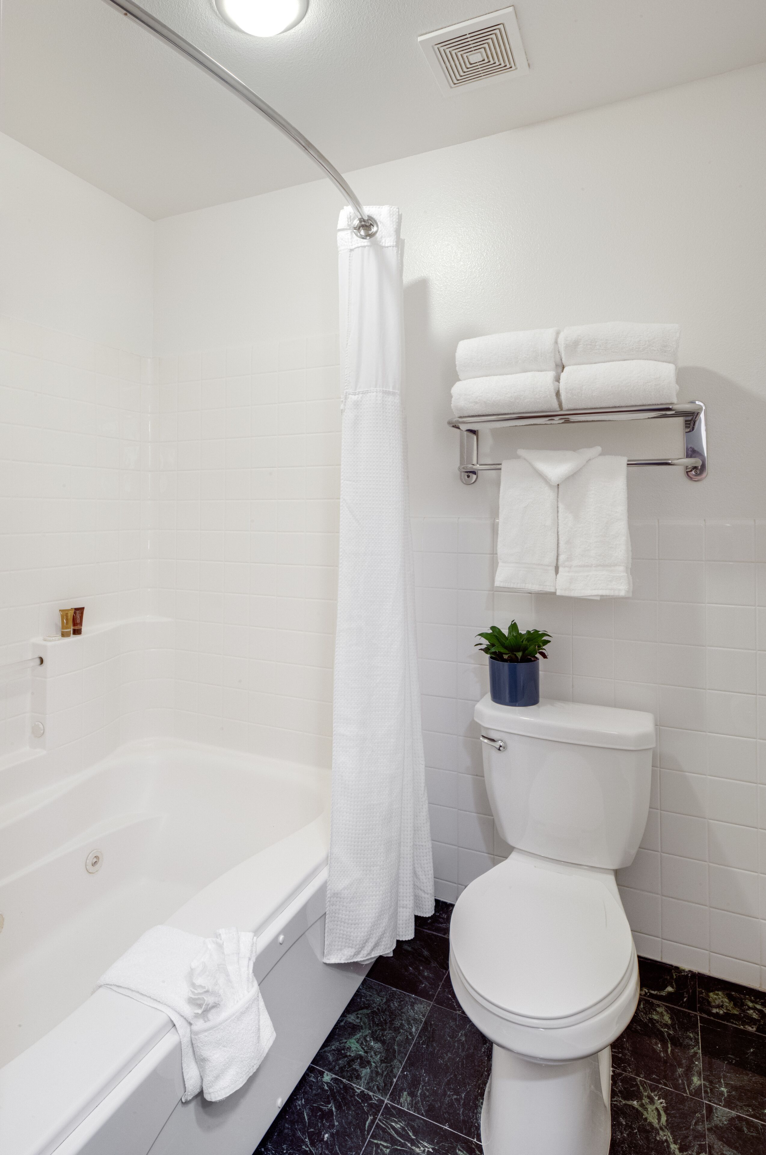 combined shower/bathtub, eco-friendly toiletries, hair dryer, towels