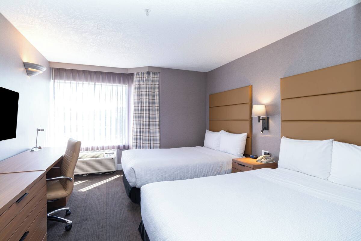 Standard Suite, 2 Double Beds, Sofa Bed, Kitchenette | 客房內保險箱、書桌、筆電工作空間、熨斗/熨衣板