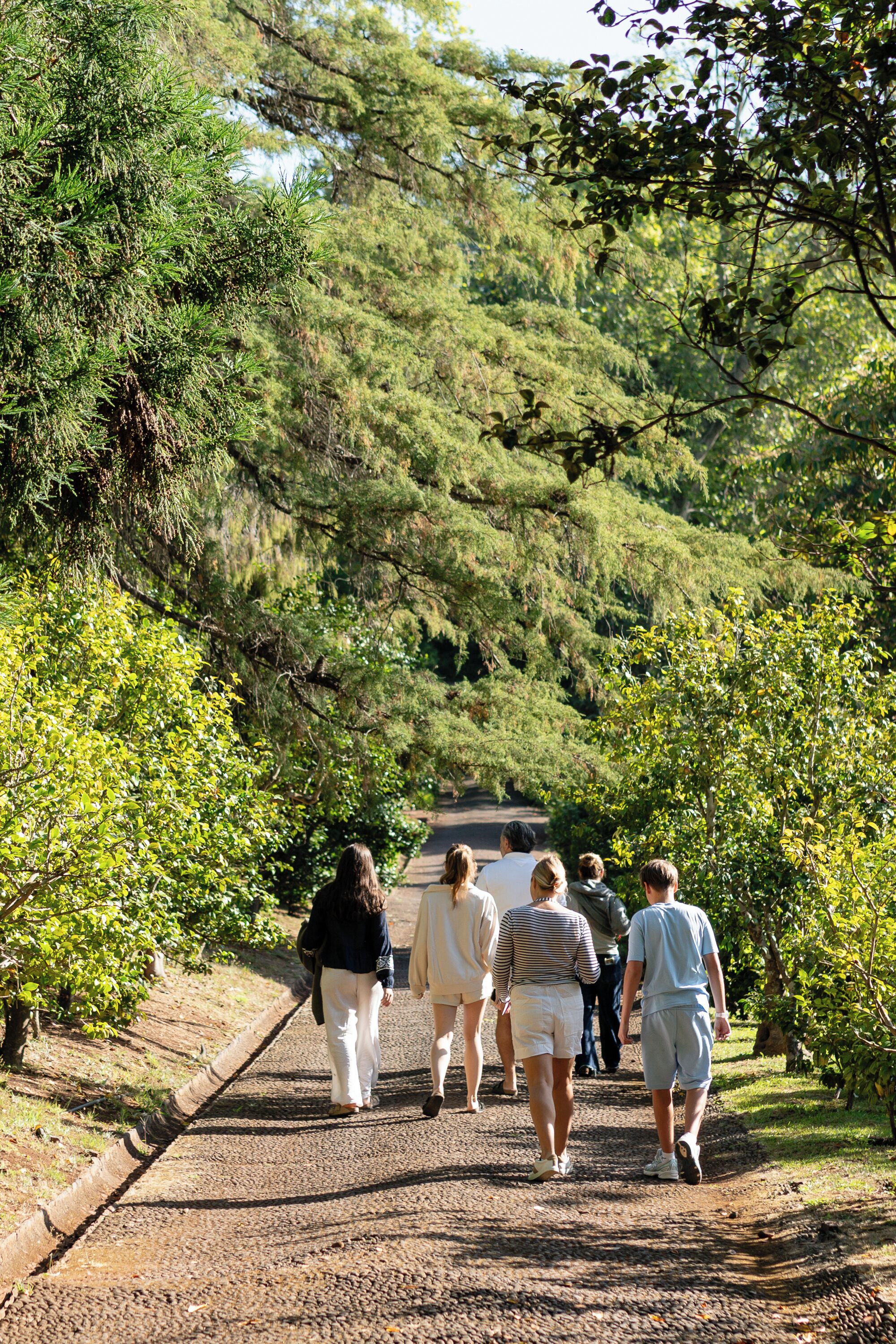 Foto - Casa Velha do Palheiro Relais & Chateaux