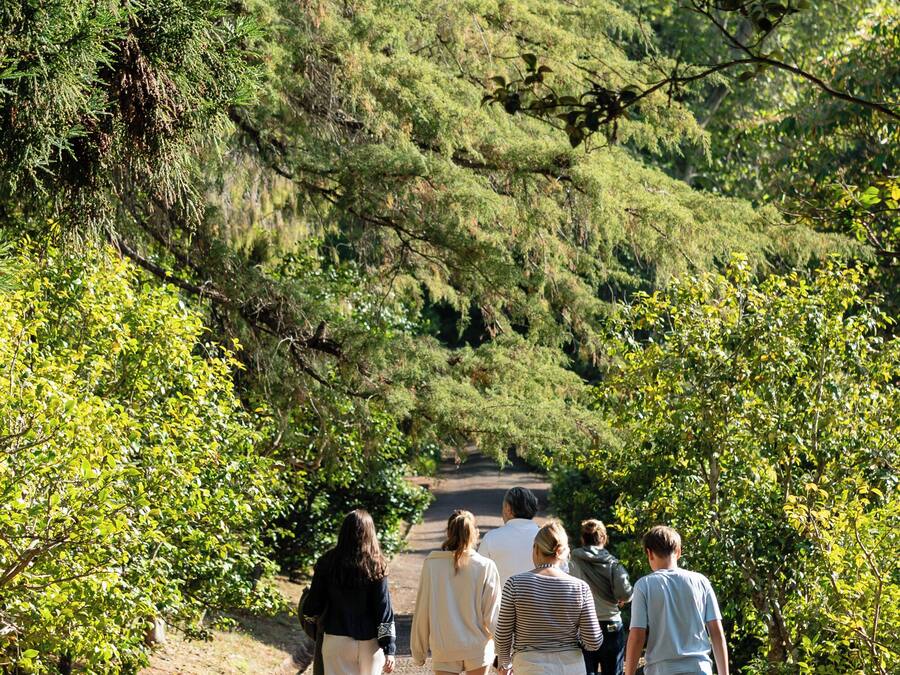 A pathway in a park with people walking.