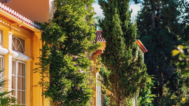 A yellow building with a tiled roof, surrounded by lush greenery and a gravel path. - Casa Velha do Palheiro, Relais & Chateaux (Funchal)