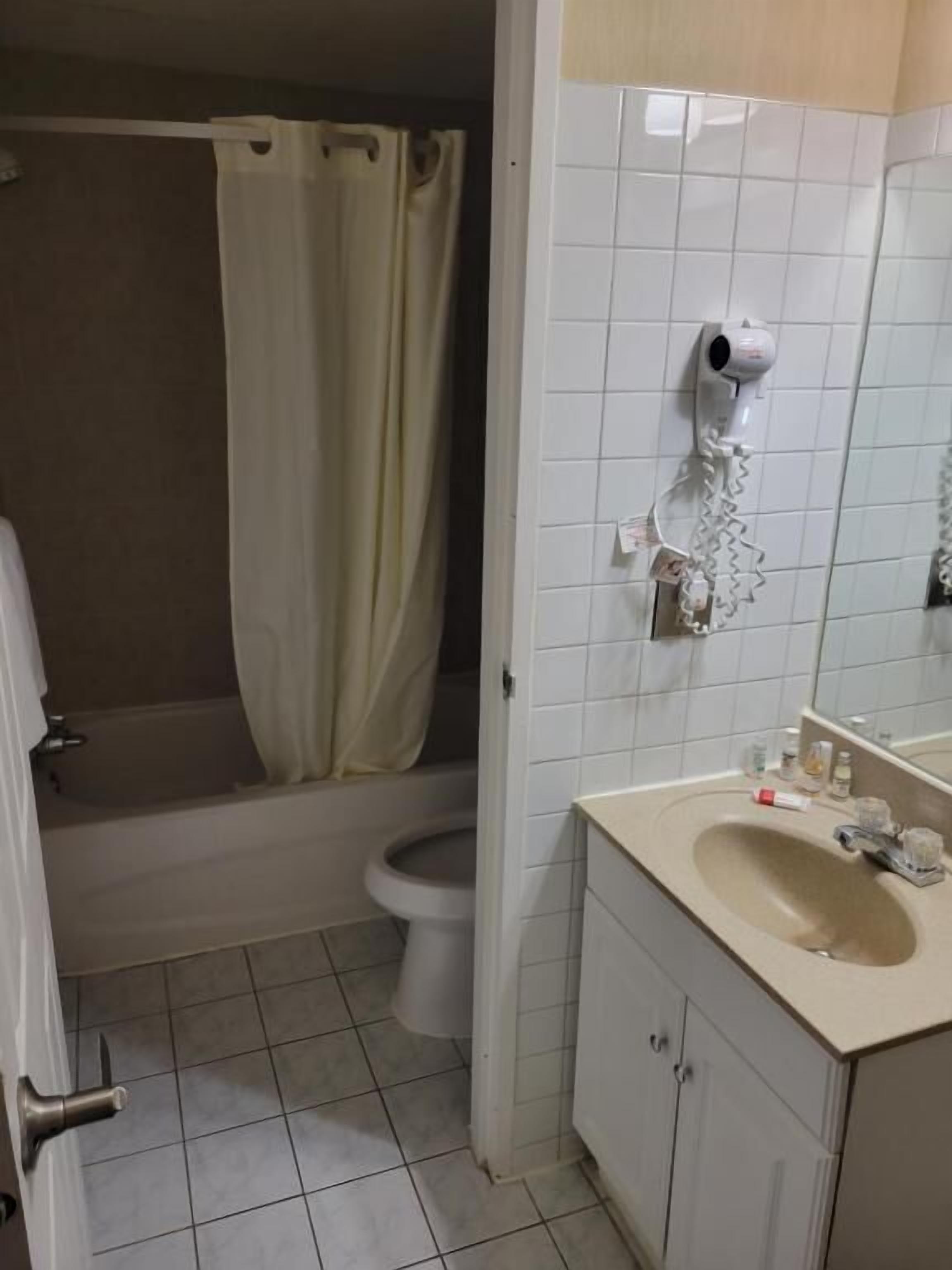 A bathroom with a toilet, a sink, a shower curtain, and a hairdryer mounted on the wall.