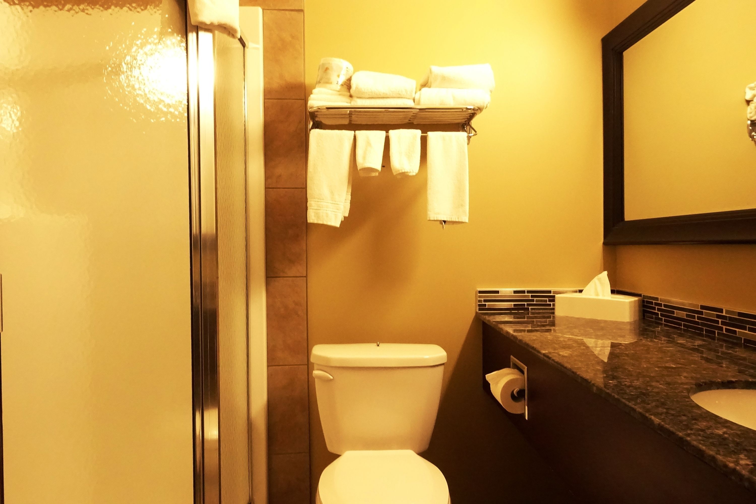 A bathroom with a glass shower door, a toilet, a towel rack with towels, a sink with a mirror, and a tissue box.