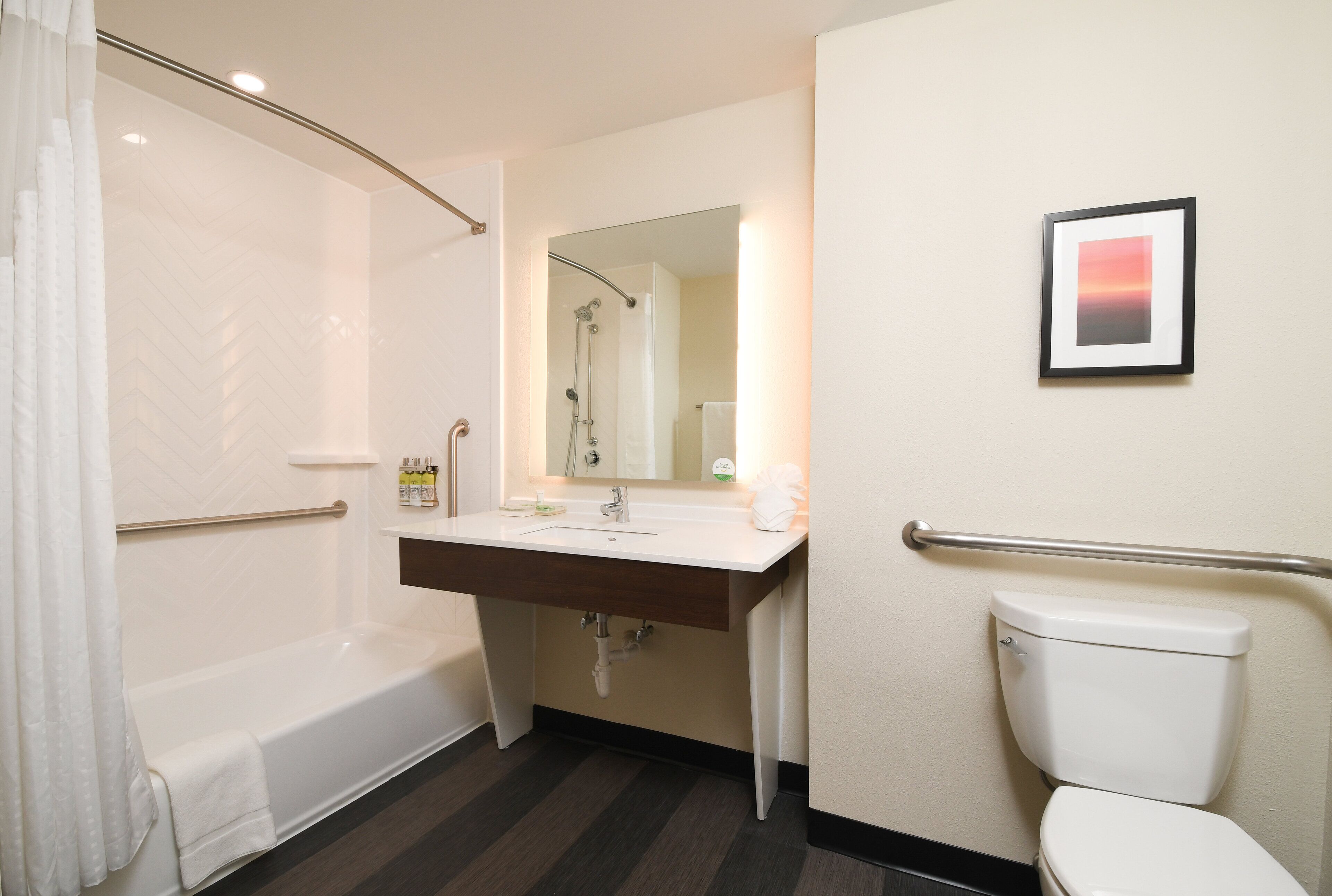 standard room, 1 king bed, accessible bathtub (communications) | bathroom | combined shower/bathtub, free toiletries, hair dryer, towels