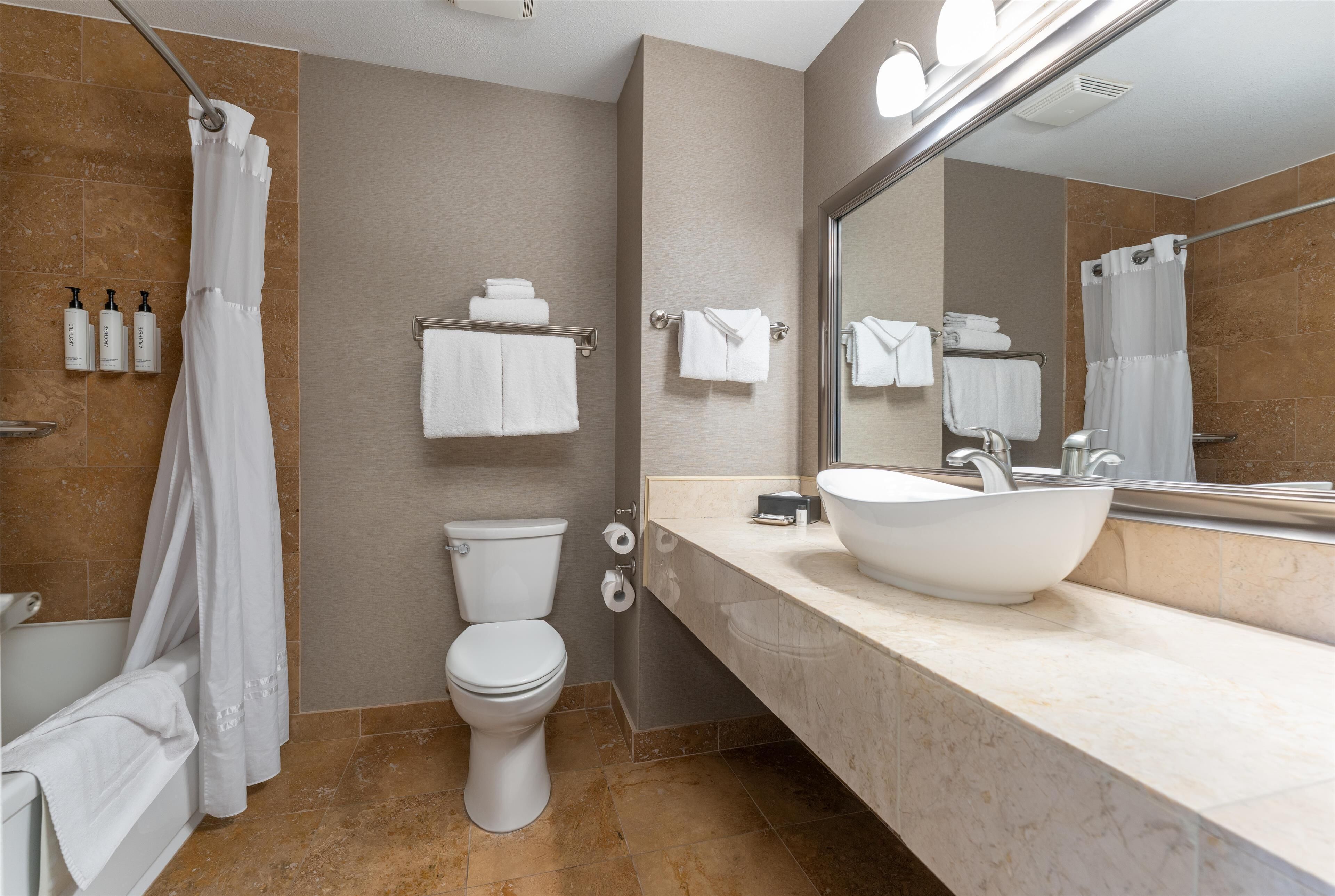 combined shower/bathtub, free toiletries, hair dryer, towels