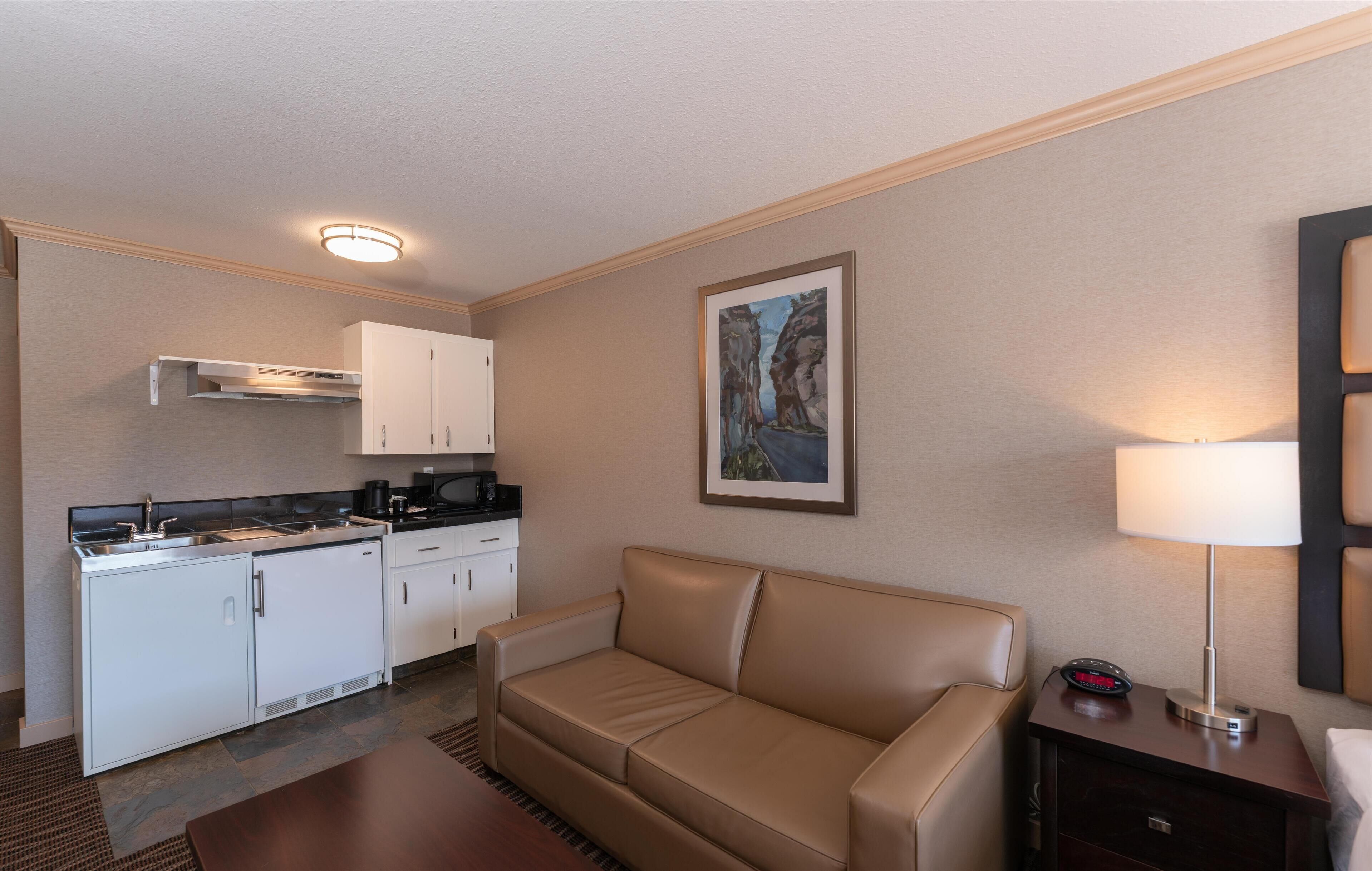 standard room, 1 king bed, non smoking, kitchenette (with sofabed) | in-room safe, iron/ironing board, free cots/infant beds, free wifi