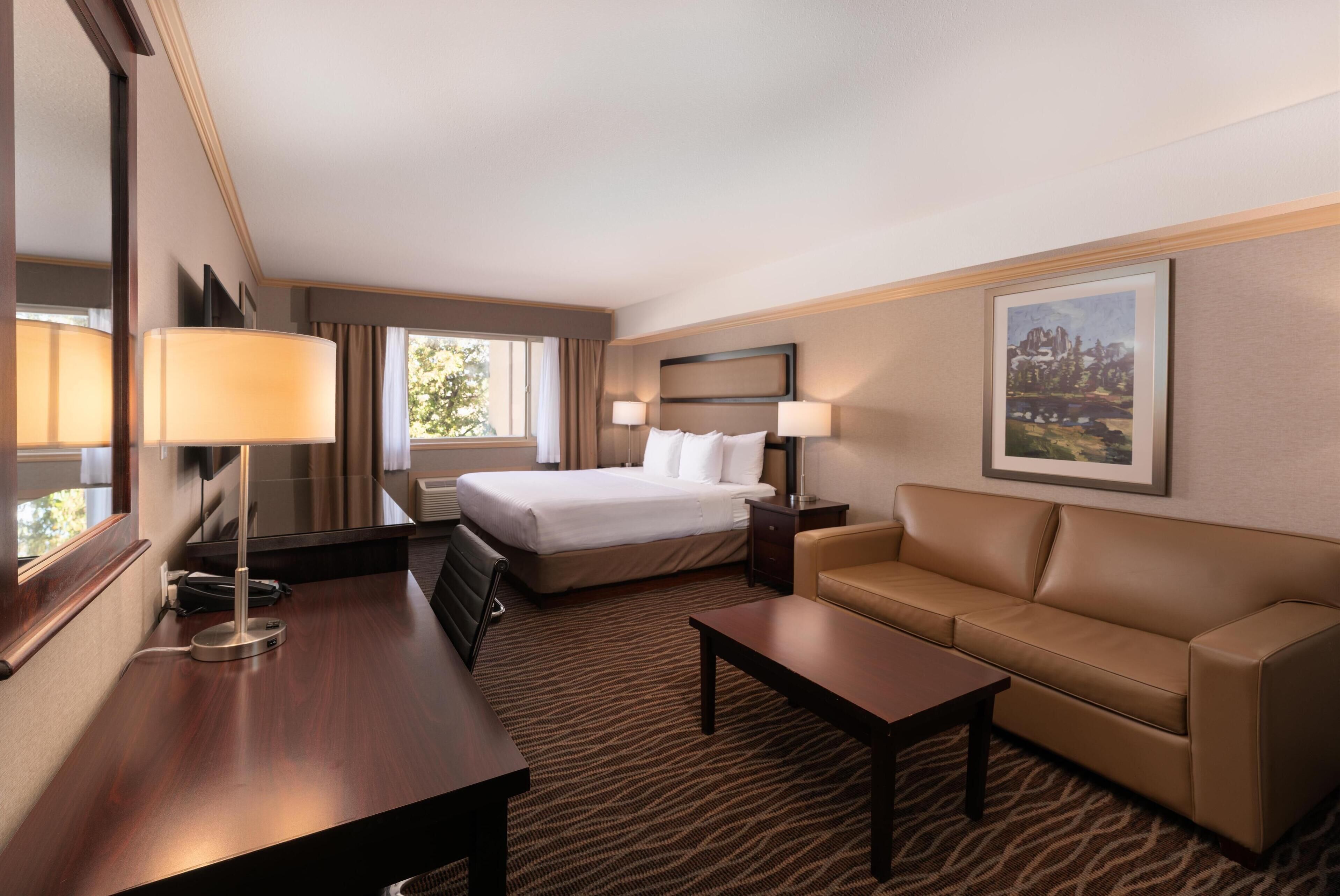 standard room, 1 king bed, accessible, refrigerator & microwave (with sofabed) | in-room safe, iron/ironing board, free cots/infant beds, free wifi