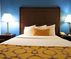 客房, 1 張加大雙人床, 無障礙, 非吸煙房 | 獨特裝潢、布置獨特、書桌、遮光布/窗簾