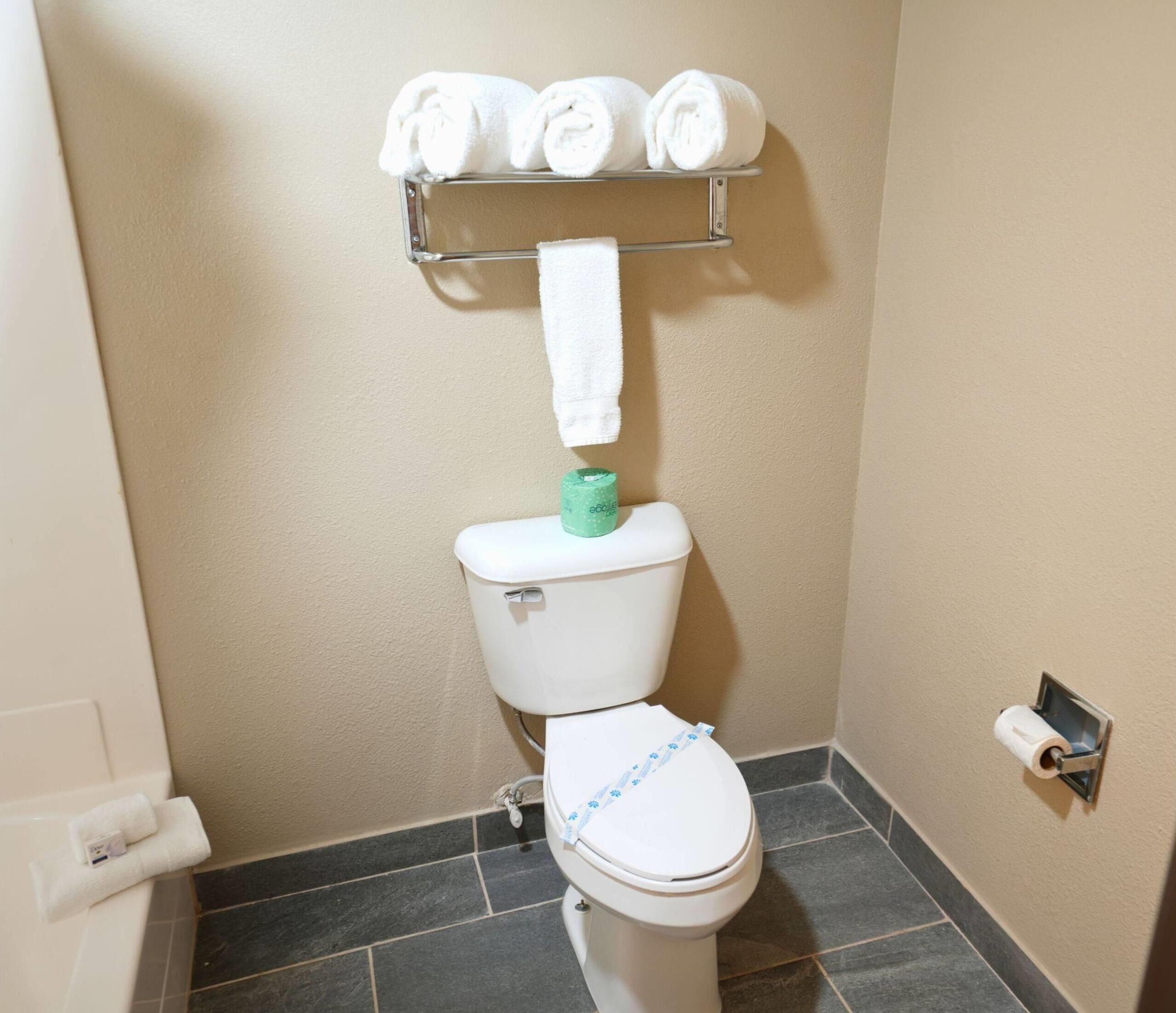 A bathroom with a toilet, a towel rack with rolled towels, and a toilet paper holder.
