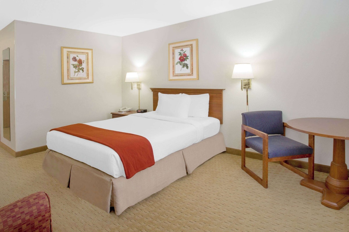 Double Room, Accessible | Premium bedding, desk, iron/ironing board, rollaway beds