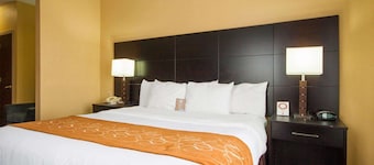 Comfort Suites Lake Ray Hubbard