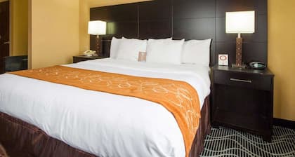 Comfort Suites Lake Ray Hubbard