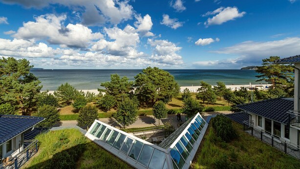 Une vue sur la côte, avec une plage, des arbres et un ciel dégagé.