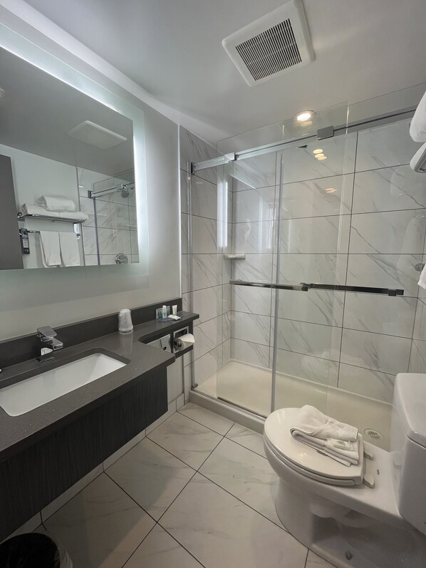 A modern bathroom with a glass-enclosed shower, a large mirror, a sink, and a toilet.