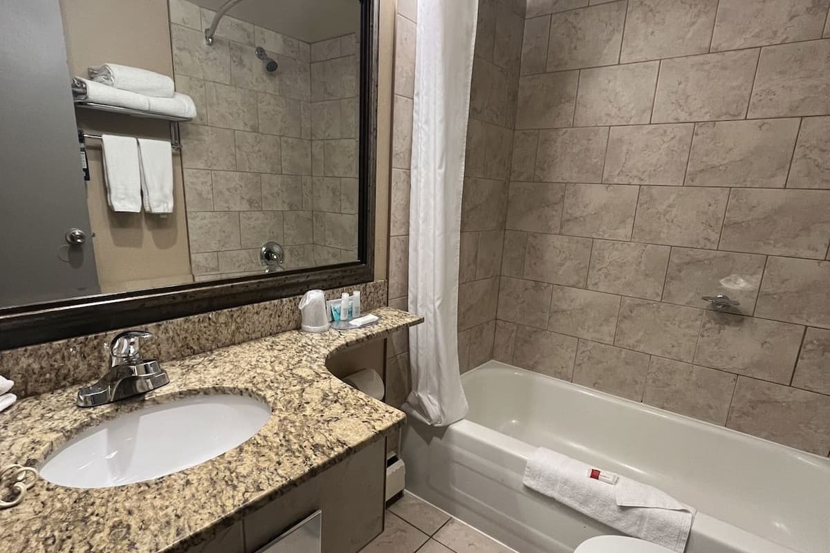 Bathroom | Combined shower/tub, eco-friendly toiletries, hair dryer, towels