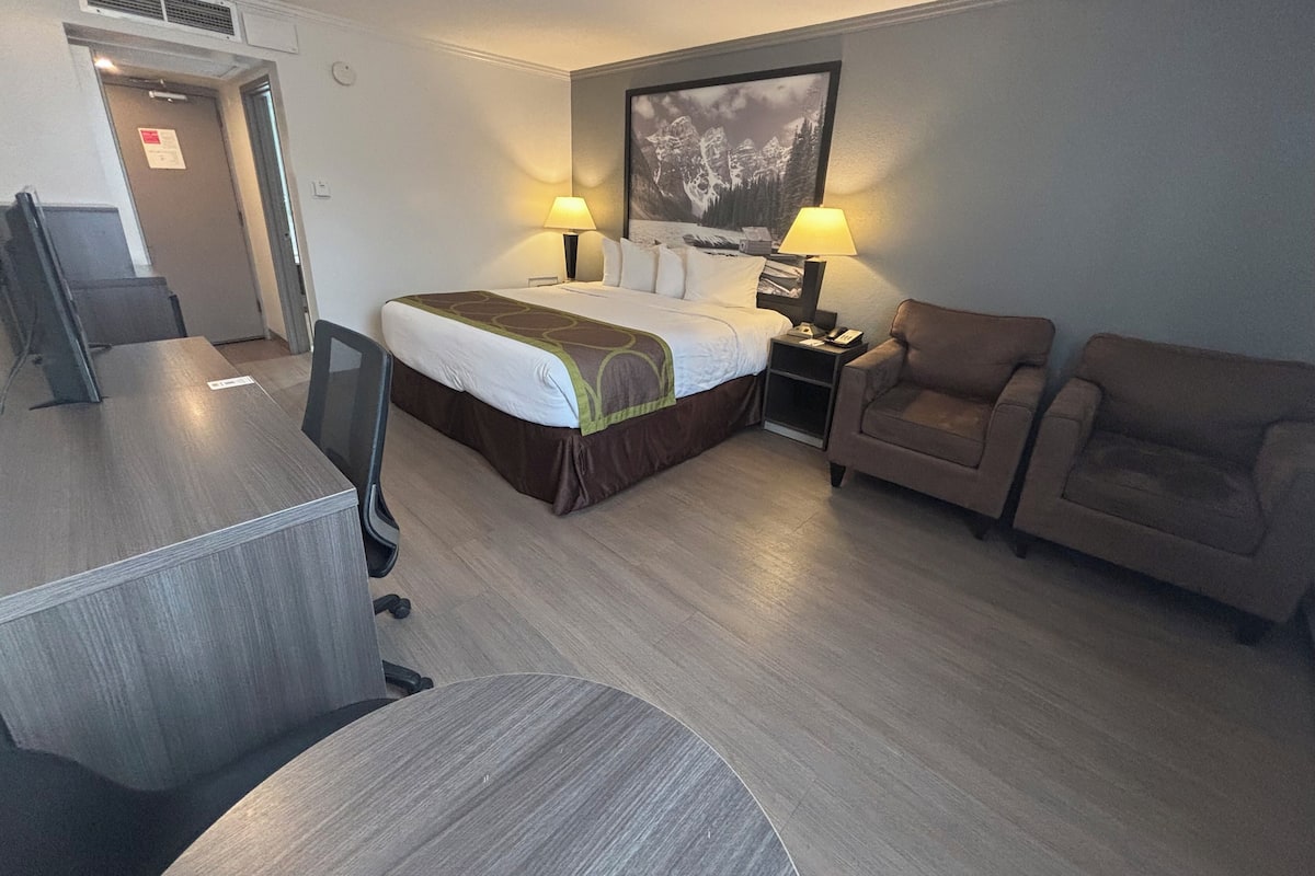 Quarto de hotel com uma cama, duas luminárias de cabeceira, uma escrivaninha, uma cadeira e um sofá.