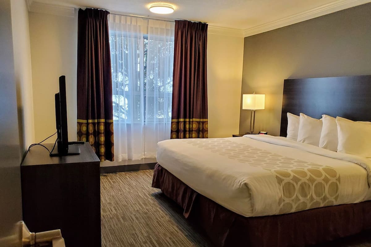 Desk, iron/ironing board, free cribs/infant beds, rollaway beds