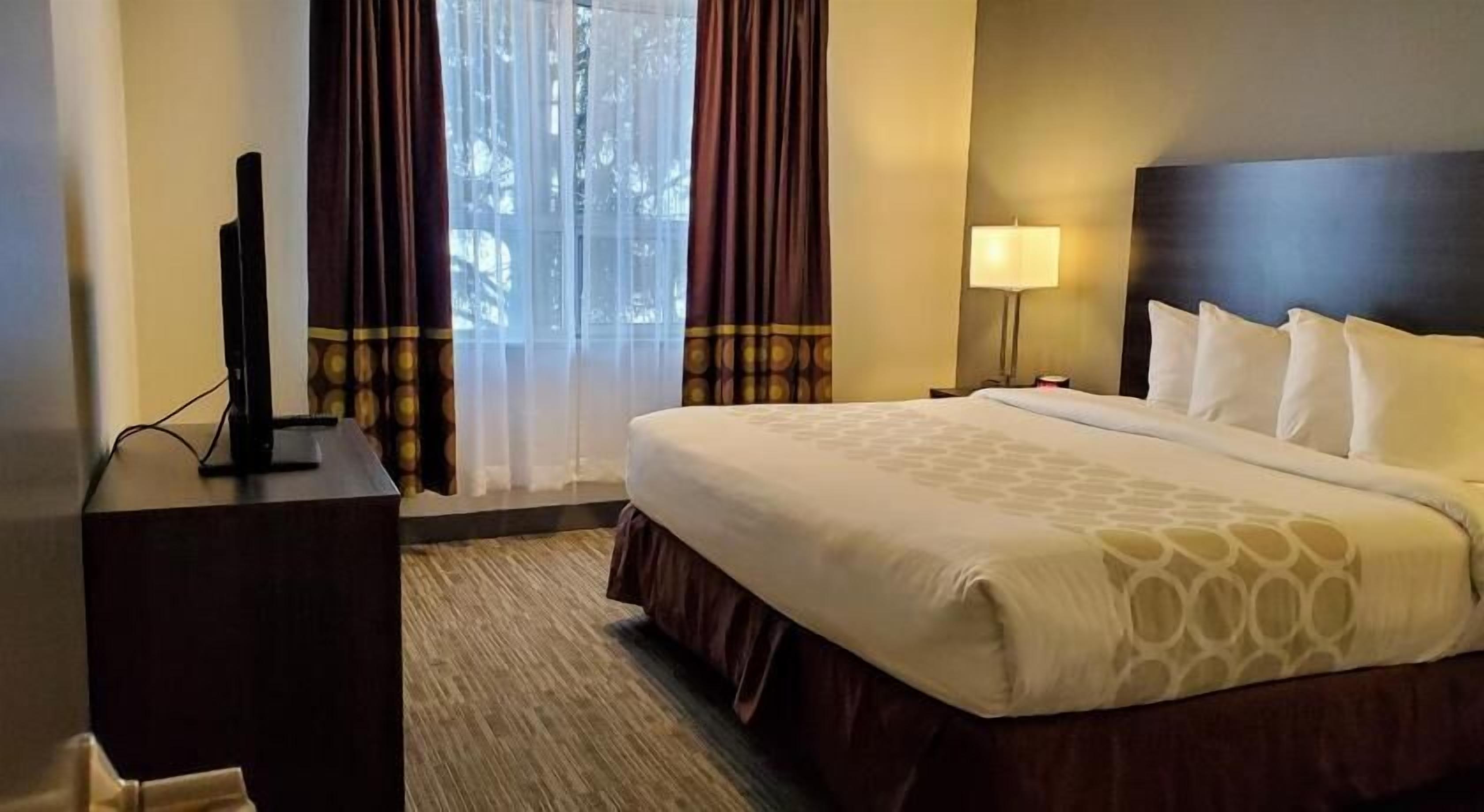 Desk, iron/ironing board, free cribs/infant beds, rollaway beds