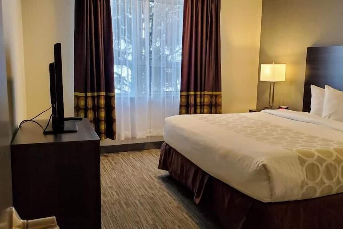 Quarto de hotel com uma cama grande, uma escrivaninha com televisão, mesa de cabeceira e uma luminária.
