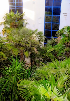 Garden view - Garden Beach Hotel (Antibes)