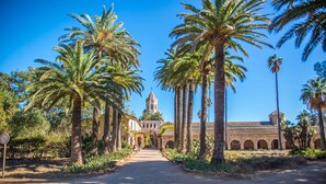 A pathway leading to a building with a bell tower, surrounded by palm trees. - Golden Tulip Cannes hotel de Paris (Cannes)