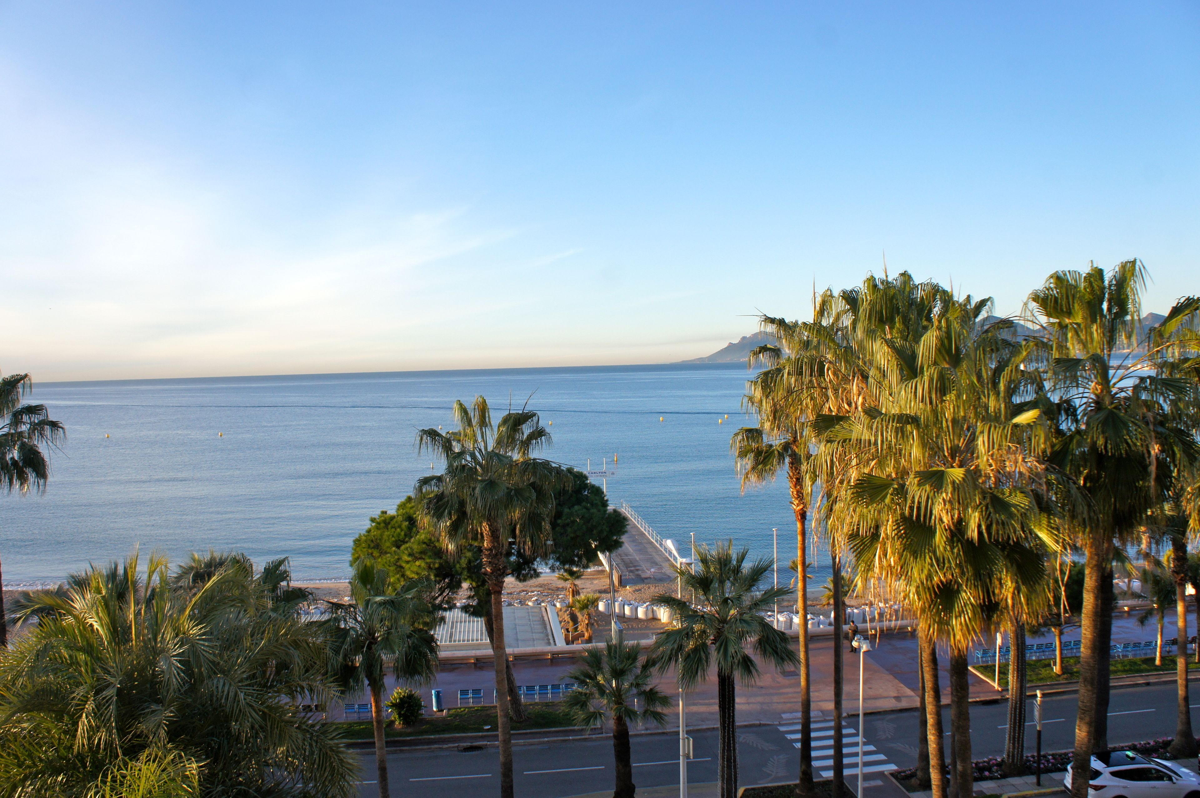 A coastal view with palm trees, a beach, and a clear sky.