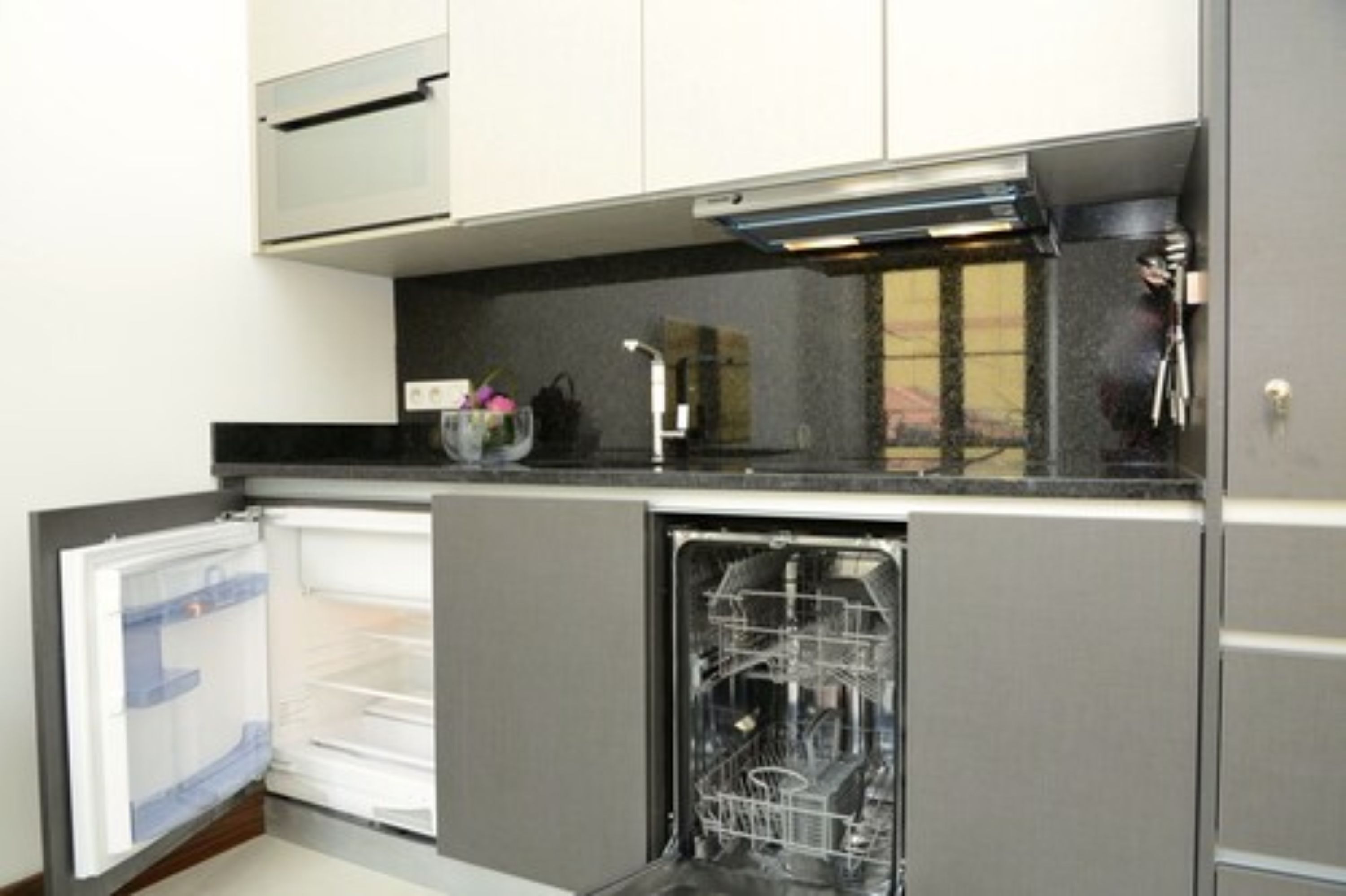 A compact kitchen with a dishwasher, a built-in oven, and a sink.